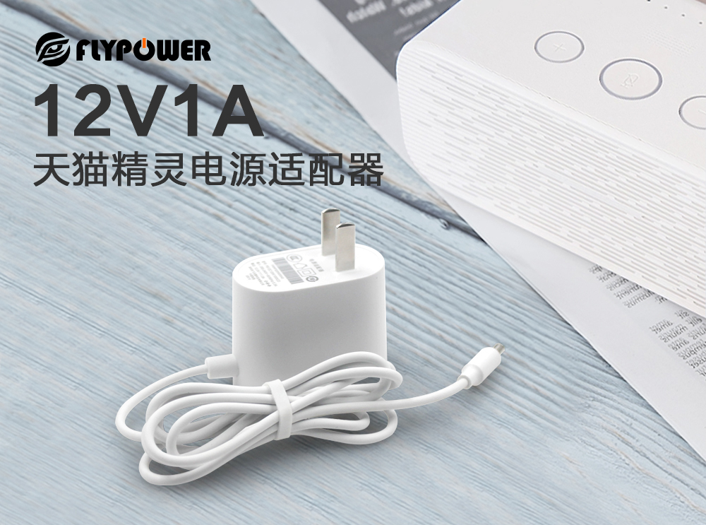 飛天鷹適配器廠家12V1A智能音箱電源適配器